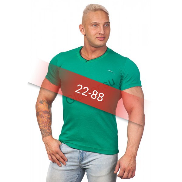 22-88 Куан Доан