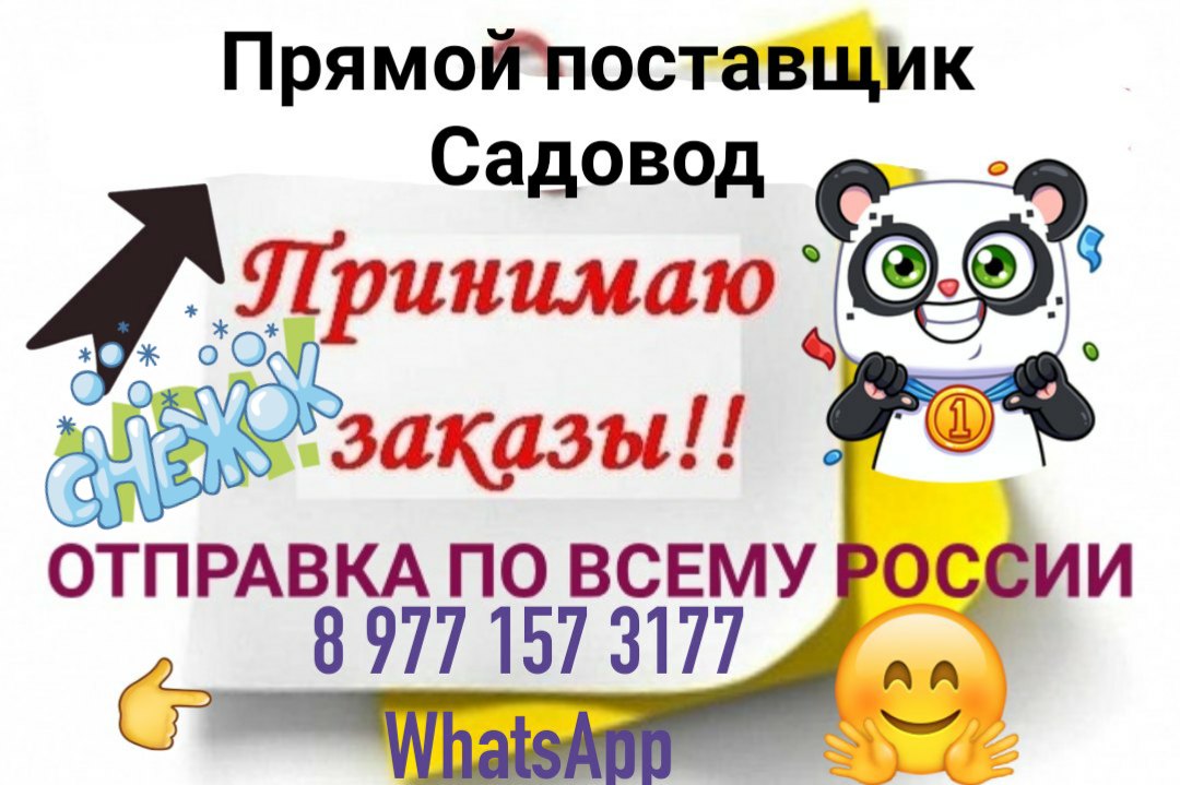 24-124 Саидобид Умронов